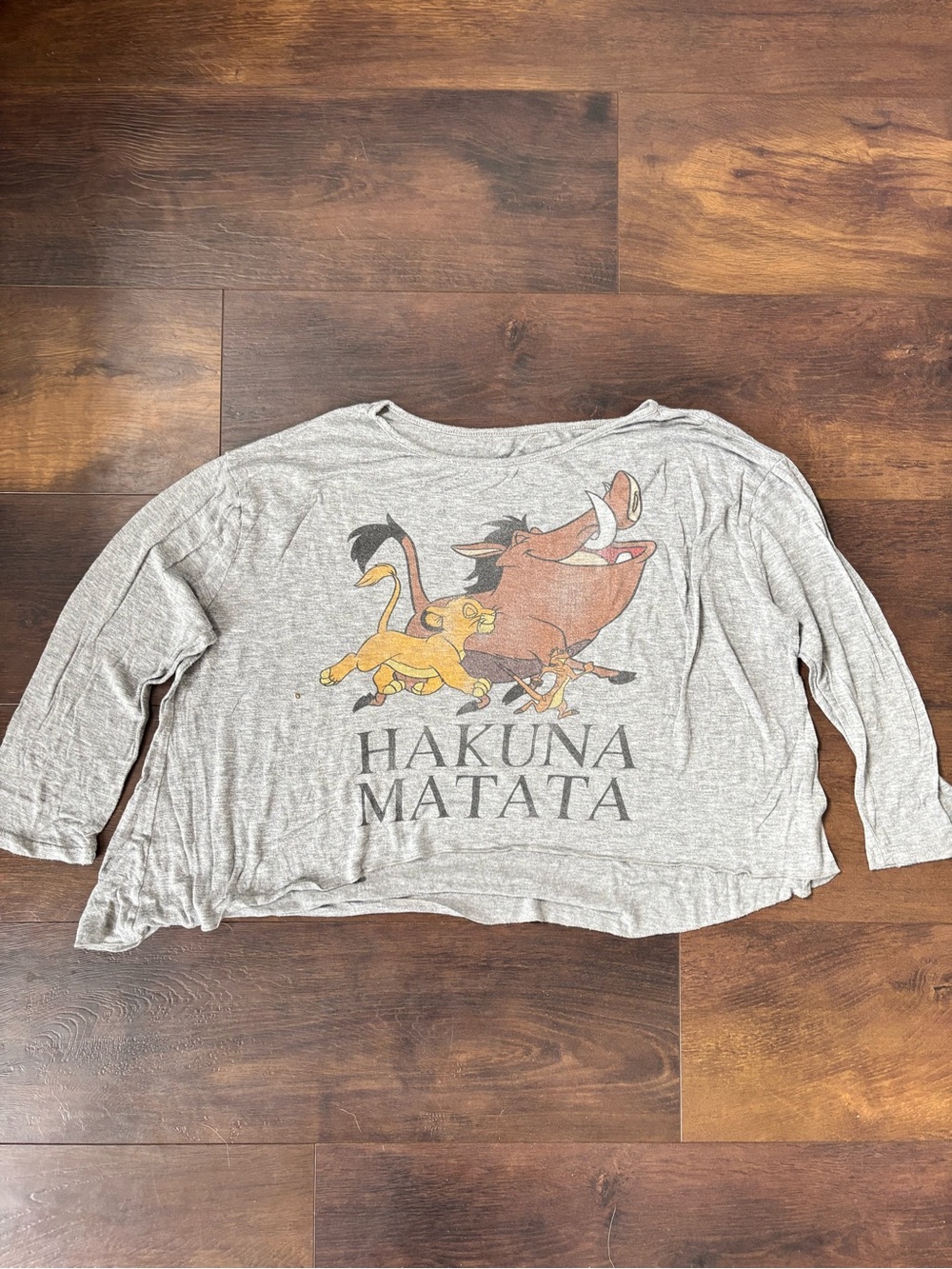 Disney Lion King Hakuna Matata Cropped Top Women’s L